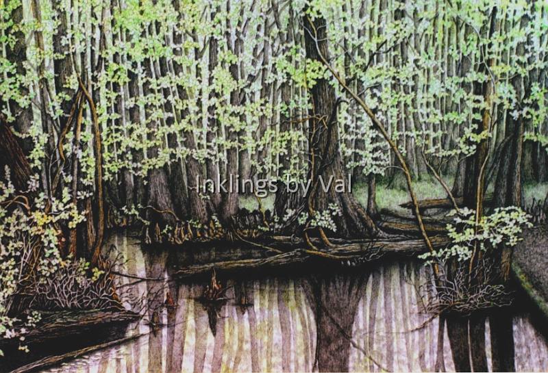 Spring Swamp.jpg